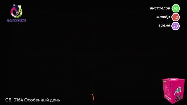 СБ-0164 Особенный день
