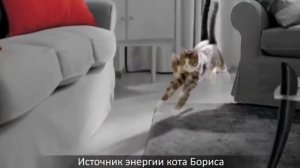 Реклама Кити кет😂😂😂