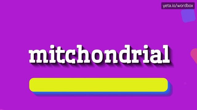 MITCHONDRIAL - HOW TO PRONOUNCE IT!? смотреть онлайн