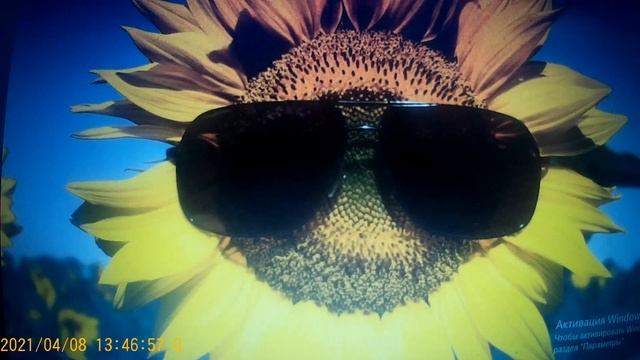 Кто поспособствовал развалу семьи ? смотреть онлайн