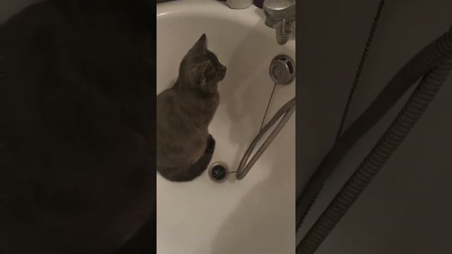 Сами с усами смотреть онлайн