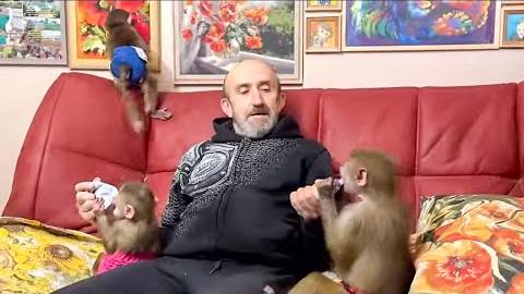 СМЕХ! Люська со Степашкой отжимают друг у дружки игрушки, а Влад многодетный ОБЕЗЬЯНИЙ ПАПА!
