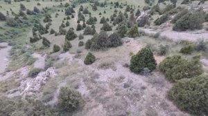Каска-су, Kaskasu , Shymkent. 2021