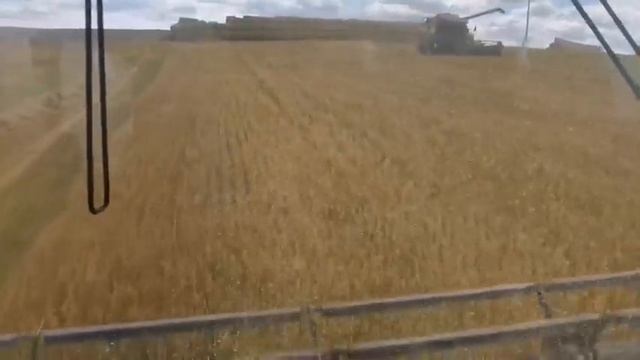 Битва за урожай. КСУП "Совхоз" Кормянский". ЖАТВА - 2022. смотреть онлайн