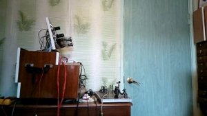 Ламповый усилитель 6п6с