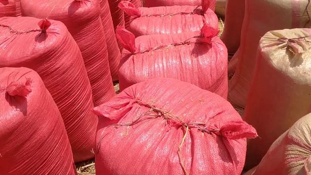 guard lp 18 Masha Allah 103 MN pr acar смотреть онлайн