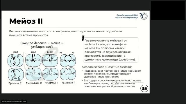 Биология (2 группа) 14.04.2025