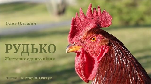 АУДІОКАЗКИ УКРАЇНСЬКОЮ ОНЛАЙН-РУДЬКО - Олег Ольжич | Життєпис одного півня | Кращі аудіо казки