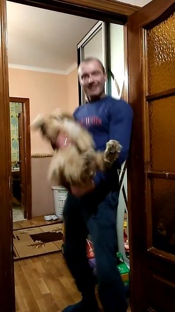 Наша Зара счастлива!!!!Носят на руках😋 смотреть онлайн