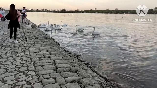 Марина Нова.У Марины начался чес на ют,рассказала про Хеппи