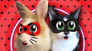 ЛЕДИ БАФ И СУПЕР-КОТ МАЛЫШ В ПОИСКЕ КНИГИ! КРОЛИК БАФФИ И КОТ МАЛЫШ LadyBug | А ну-ка давай-ка