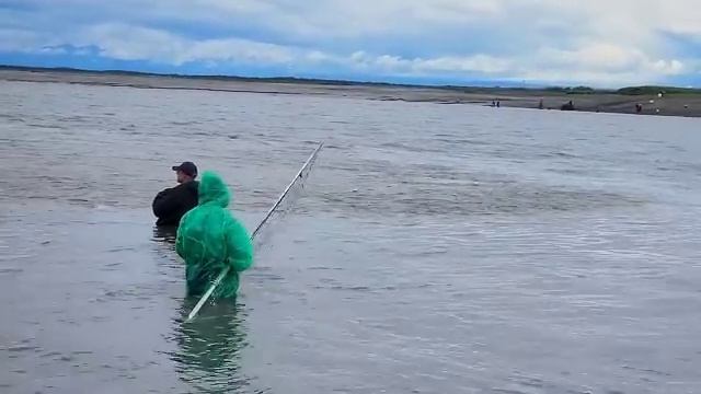Как на Аляске ловят ЛОСОСЬ. Рыбалка на полуострове Кенай. Alaska