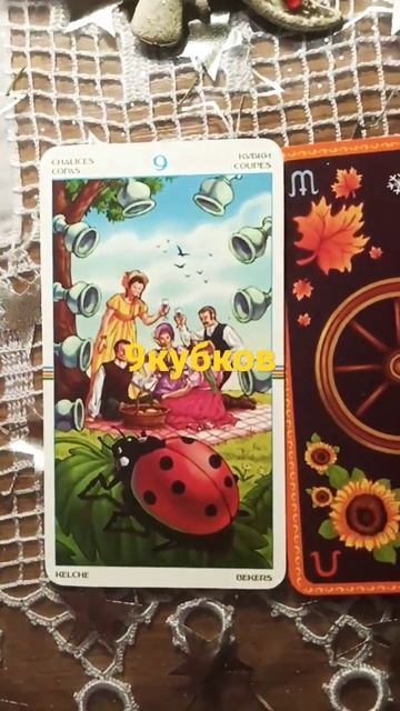 9кубков#shorts#обучение#колесогода#значение смотреть онлайн