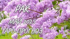 Рак ♋ Таро-прогноз на май 2025 года