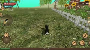 Охота на пуму и медведя