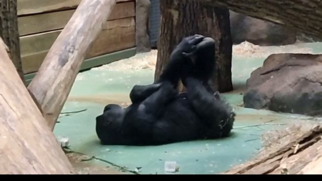 Казань