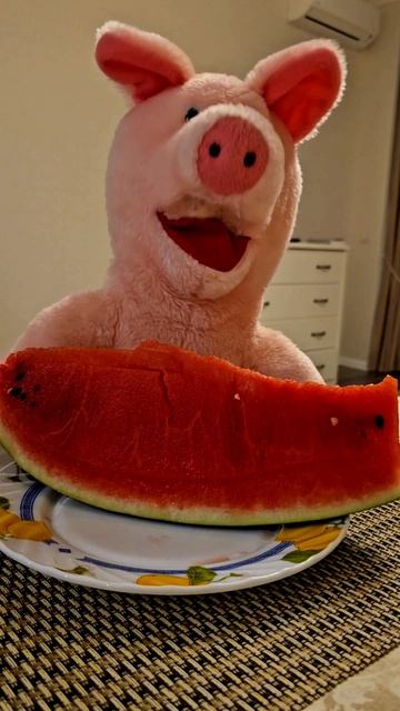Самый вкусный арбуз! 🍉