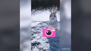 весенний юмор