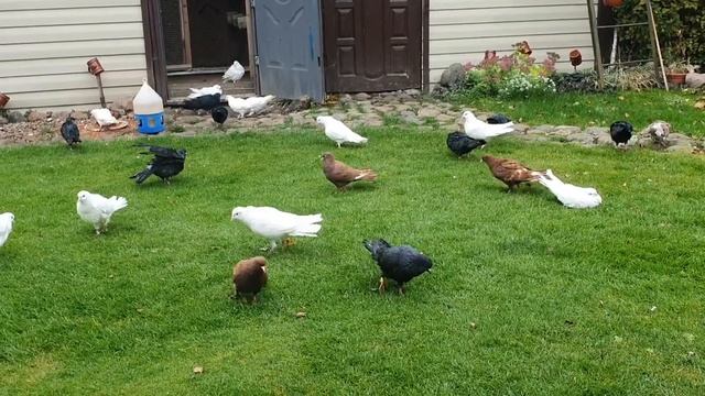 Как дела ребета? смотреть онлайн