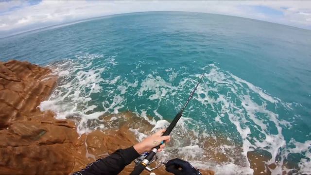 What type of fish?? смотреть онлайн