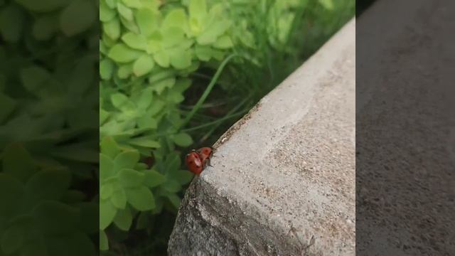 17 décembre 2020 смотреть онлайн