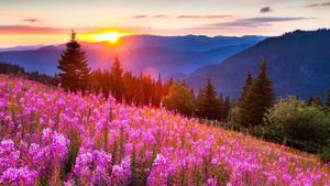 Песня "Бога не видно"