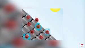 Nelskamp с заботой об экологии