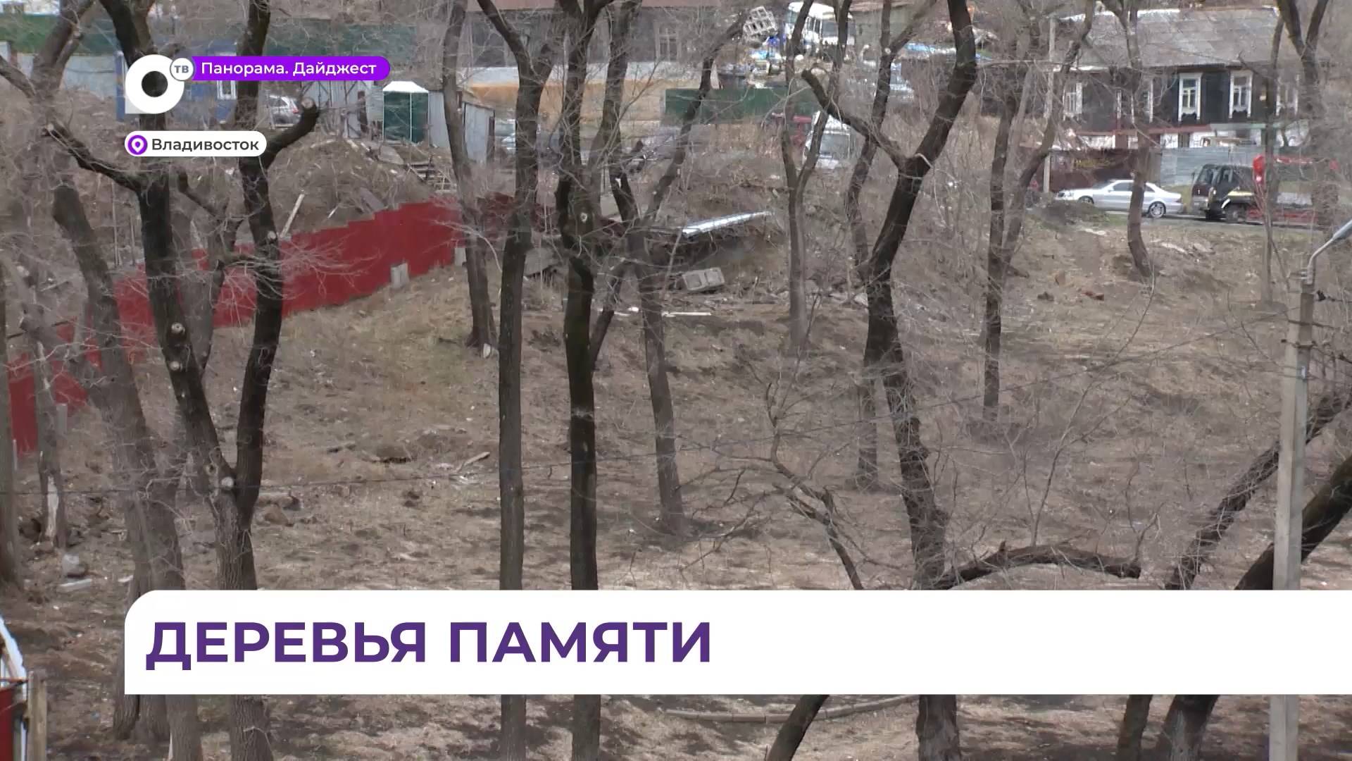 Жители Владивостока просят благоустроить заброшенный сквер центре города