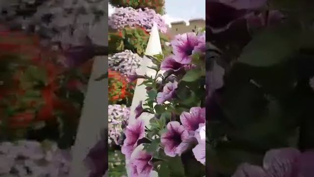 6 февраля 2021 г. смотреть онлайн