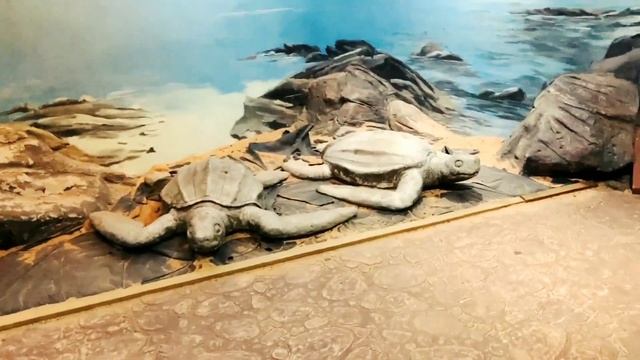 TRAVEL VLOG | A DAY AT ZOO NEGARA | RESPECT TO ALL SPONSORS AND VISITORS