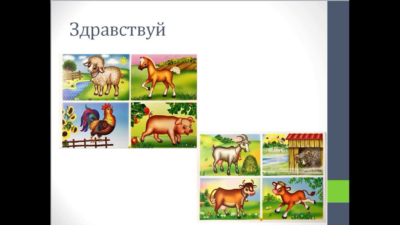 Здравствуй