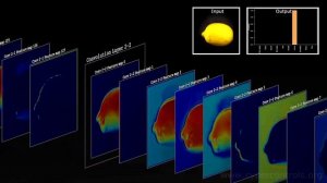 VGG16 Neural Network Visualization