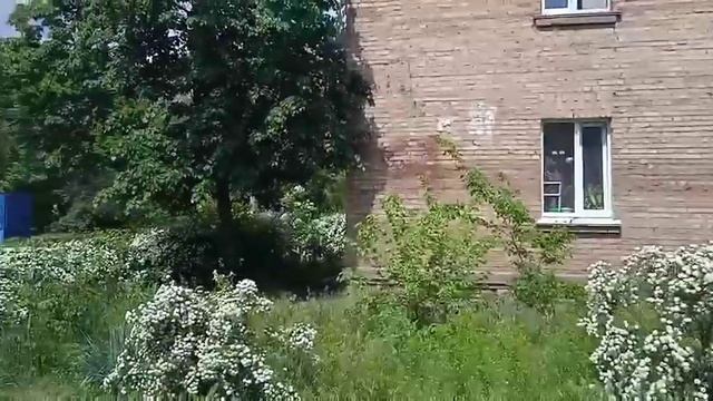 Помещение на бул. Перова, 3 (ул. Петра Запорожца) смотреть онлайн