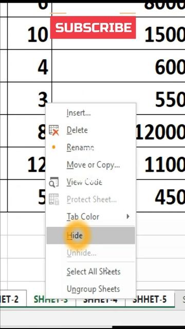 Wow ! Excel Amazing Trick 2021 😎😎😎 | Hide Multiple Excel Sheet One Click | #Shorts | #Short | #Exce
