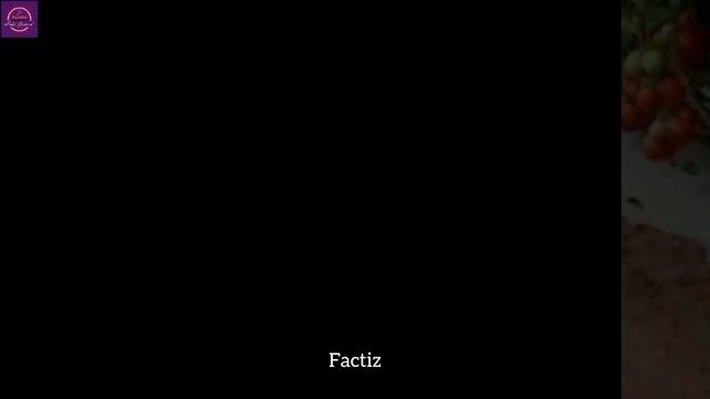 became a millionaire by selling tomatoes. टमाटर बेच कर बना करोड़पति।😯😯 #viral #trending смотреть онлайн