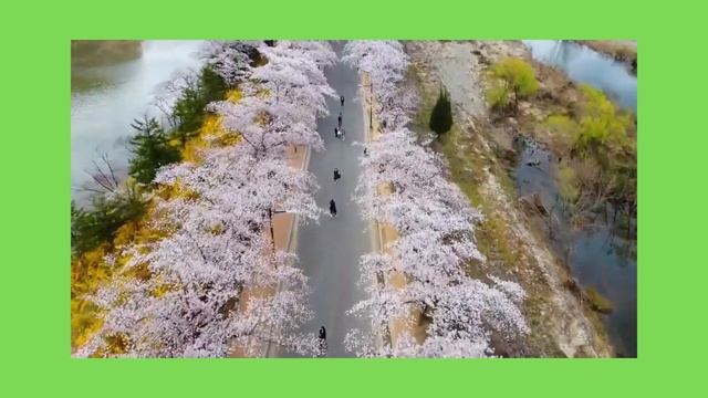 Лесная Глушь 9 09 2022
