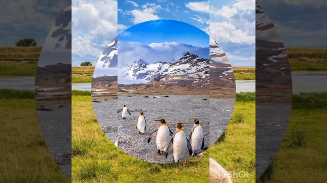 ВСЕХ-ВСЕХ-ВСЕХ С ДОБРЫМ УТРОМ ☕— ДНЁМ ☕!!! смотреть онлайн