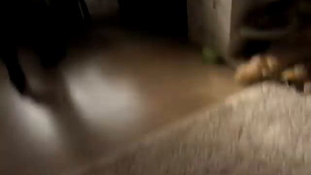 Избивание смотреть онлайн