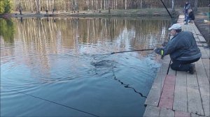 Утро на нижнем водоёме. Клёвое место, Лосиный остров.