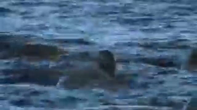 MJ2 Acoustic Guitar Track 5 смотреть онлайн