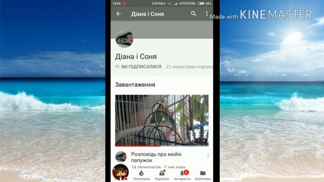 Пиар канала Диана и Соня смотреть онлайн