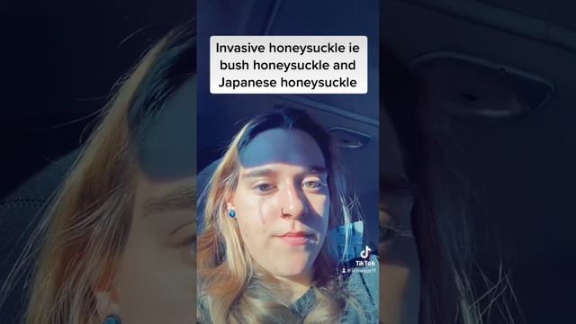 Bush honeysuckle #biodiversity #conservation #invasivesoftheuppermidwest #rewild #homegrownNP смотреть онлайн