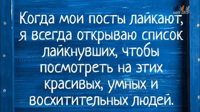 Лайк или не лайк