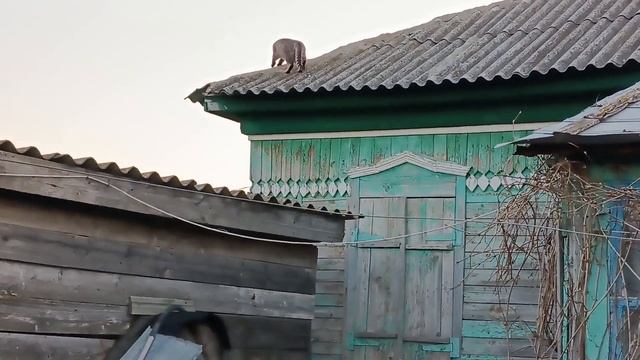 Жизнь в деревне,Прогулялись в Парк с внучкой.