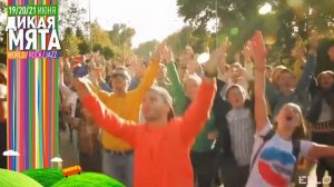 Fruktы выступят на Дикой Мяте 2015