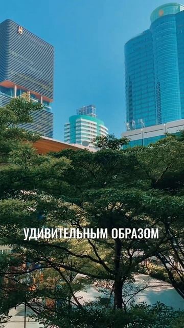 ОДИН ДЕНЬ В БАНГКОКЕ #таиланд #таиланд2023 #тай #тайланд #жизньвтаиланде #жизньвтайланде #бангкок