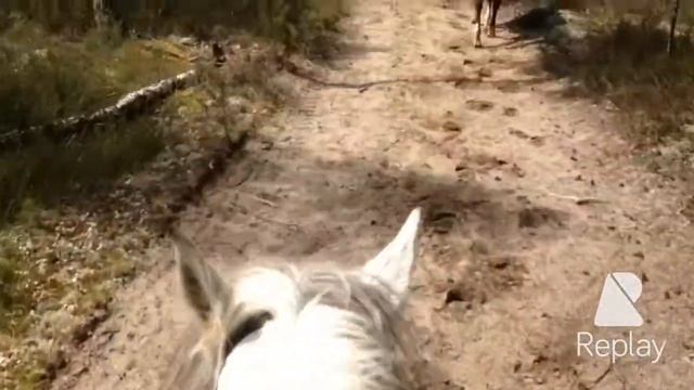 Старинки Трек 2015 смотреть онлайн