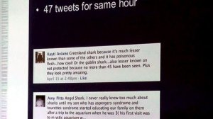 Mangrove Bay  A New Elasmobranch Touch Experience at the New England Aquarium