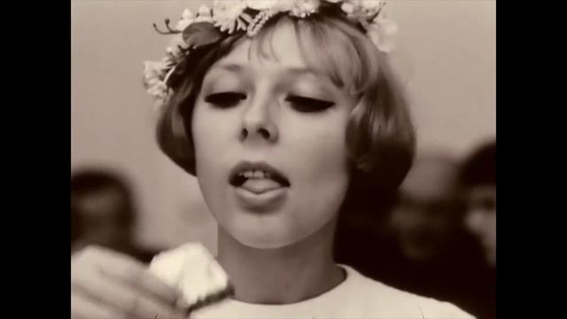 DAISIES: Feminism and chaos смотреть онлайн