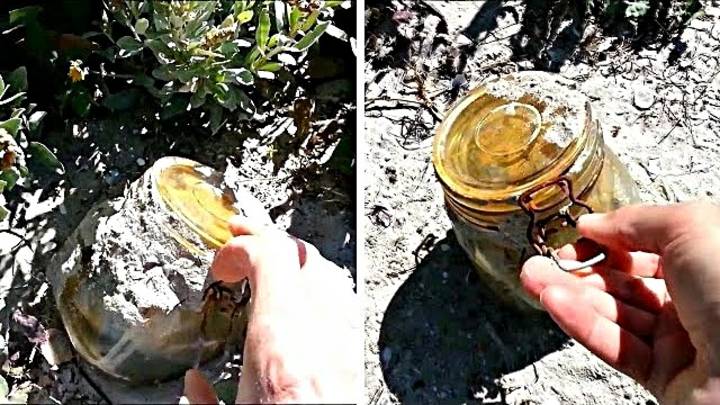 После шторма обнаружил банку на пляже. Решил открыть. смотреть онлайн